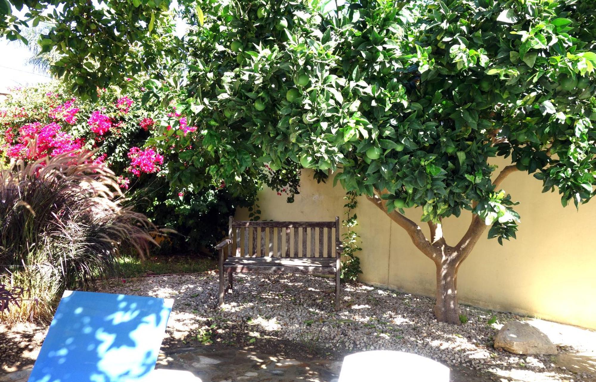 Casa Limon - Ferienhaus - Pool - Klimaanlage - W-Lan Chiclana de la Frontera Ngoại thất bức ảnh